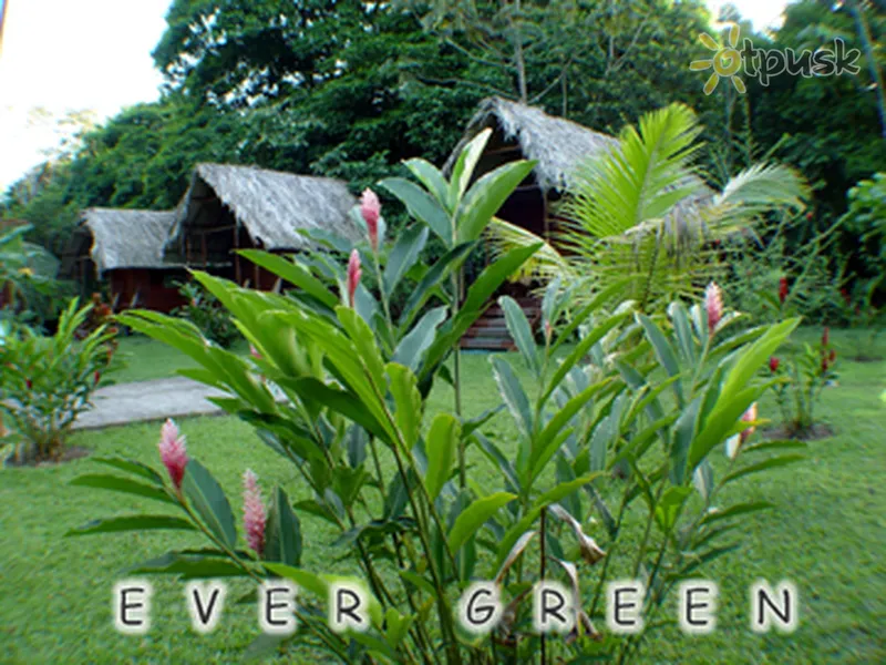 Фото отеля Evergreen lodge 3* Лимон Коста Ріка екстер'єр та басейни