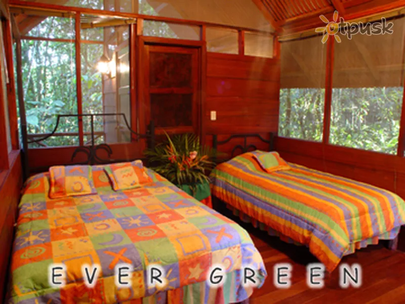 Фото отеля Evergreen lodge 3* Лимон Коста Ріка номери