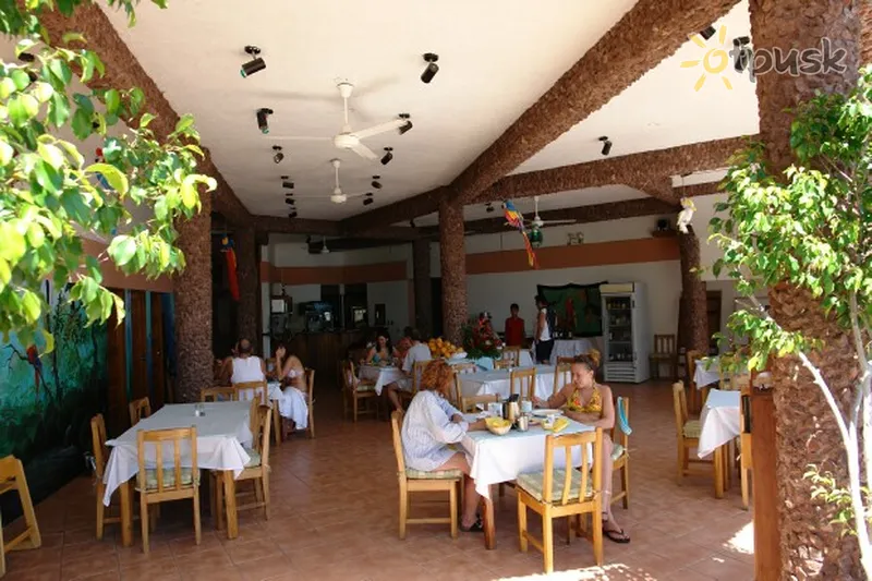 Фото отеля Flamingo Marina Resort 4* Гуанакасте Коста Рика бары и рестораны