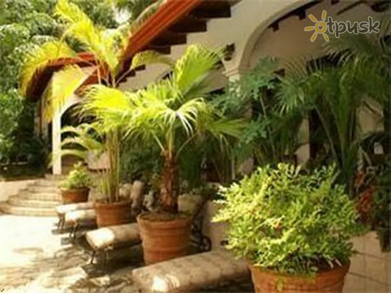 Фото отеля Villas Lirio 4* Мануель Антоніо Коста Ріка екстер'єр та басейни