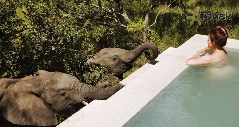 Фото отеля Royal Malewane 5* Kruger parkas pietų Afrika išorė ir baseinai