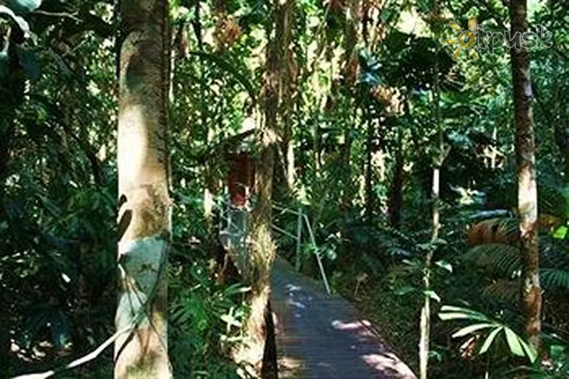 Фото отеля Daintree Wilderness Lodge 3* Didysis barjerinis rifas Australija kita