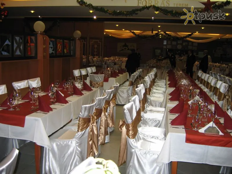 Фото отеля Gyogy- es Wellness Hotel Baratsag 3* Hajdúszoboszlo Ungārija bāri un restorāni