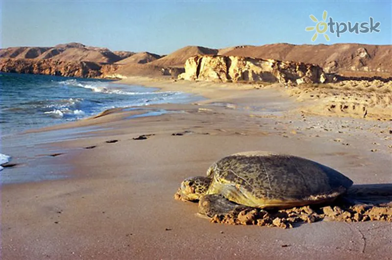 Фото отеля Ras Al Hadd Beach 2* Сур Оман пляж