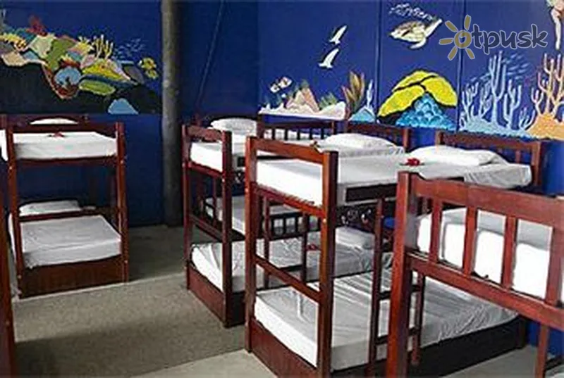 Фото отеля Bounty Island Resort 2* Острови Маманута Фіджі номери