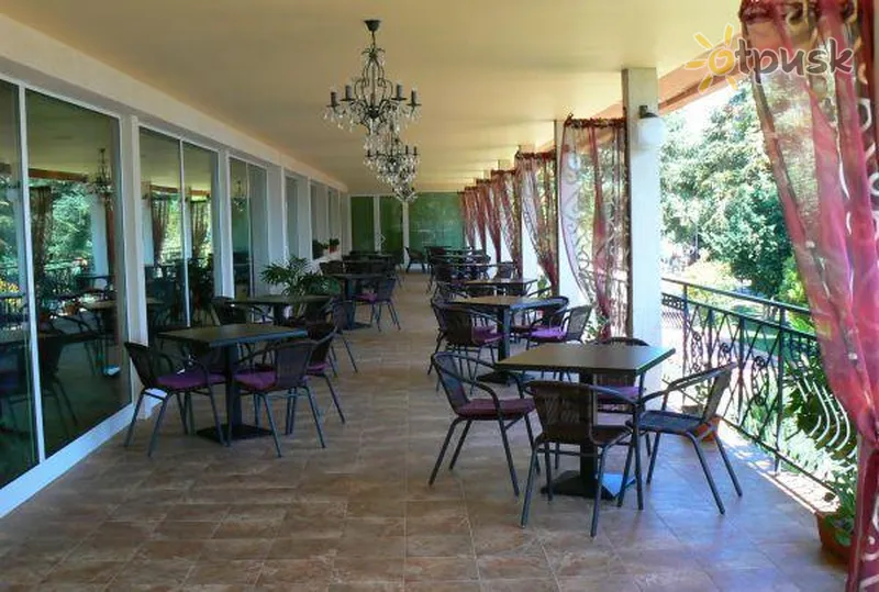 Фото отеля Термал 3* Auksinės smiltys Bulgarija barai ir restoranai
