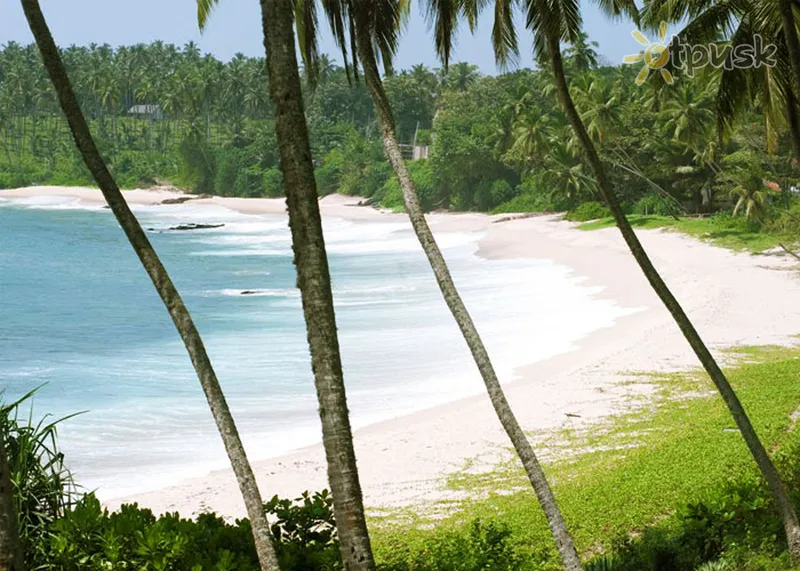Фото отеля Tangalla Bay by Jetwing 3* Тангалле Шри-Ланка пляж