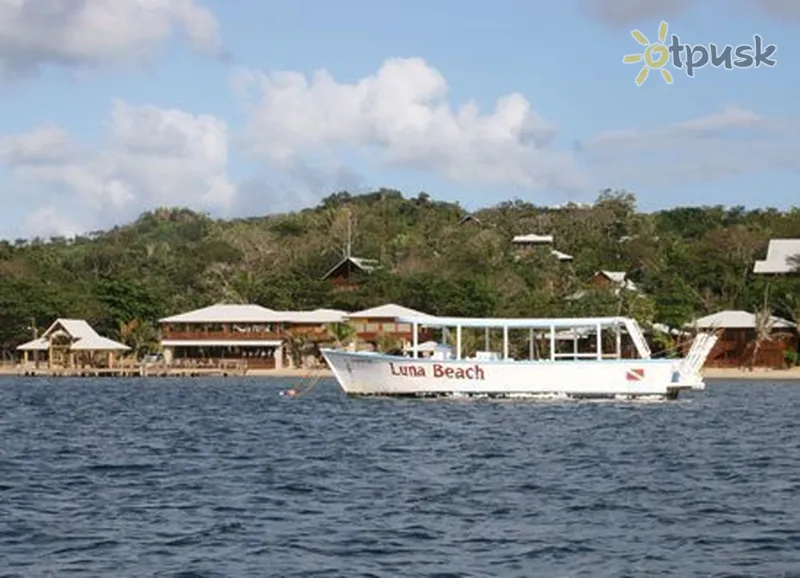 Фото отеля Luna Beach Resort 4* о. Роатан Гондурас экстерьер и бассейны