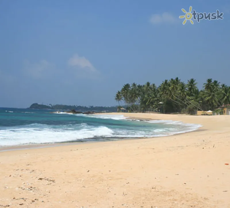 Фото отеля Dalawella Beach Resort 3* Унаватуна Шри-Ланка пляж