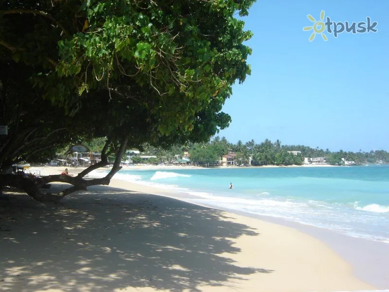 Фото отеля The Villa Boutique Hotel 3* Унаватуна Шри-Ланка пляж
