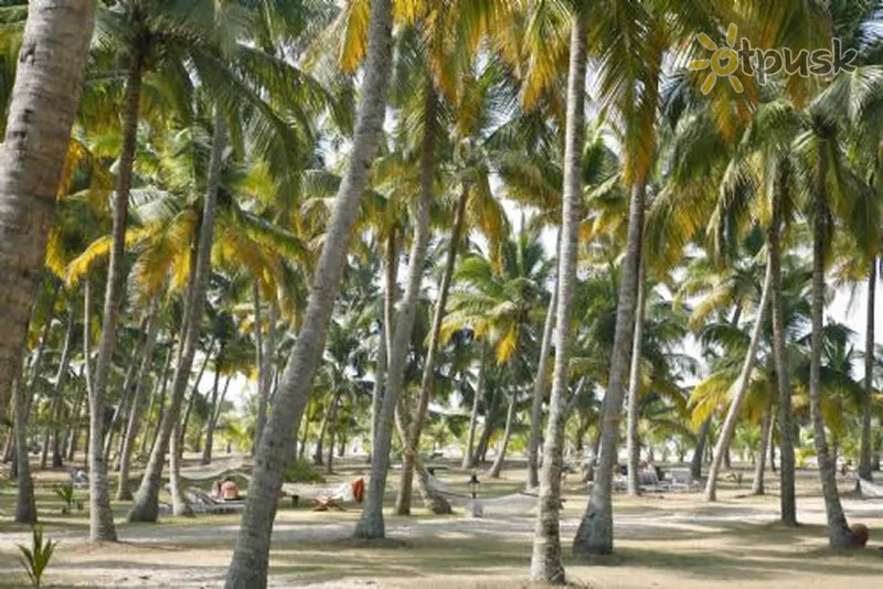 Фото отеля Marari Beach Resort 4* Kerala Indija cits