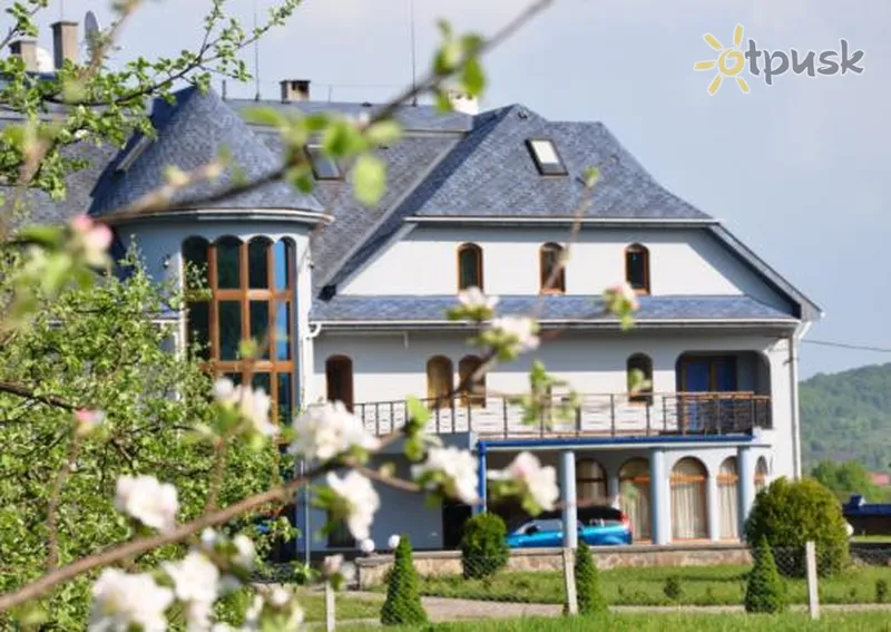 Фото отеля Лісова зірка 2* Хуст Украина - Карпаты экстерьер и бассейны