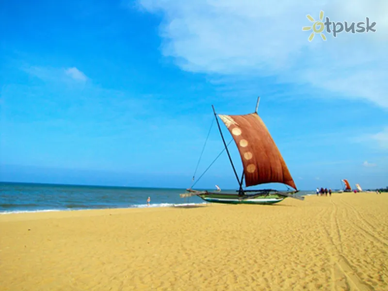 Фото отеля Wind Mill Beach Hotel 2* Negombo Šrilanka pludmale