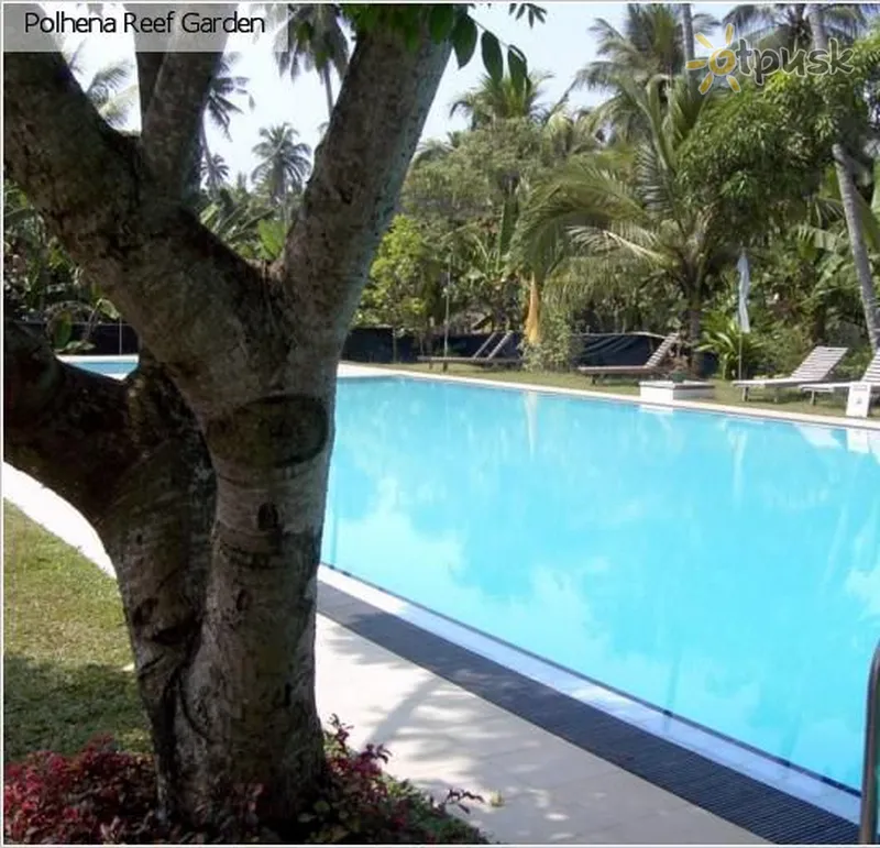 Фото отеля Polhena Reef Garden Hotel 3* Matāra Šrilanka ārpuse un baseini