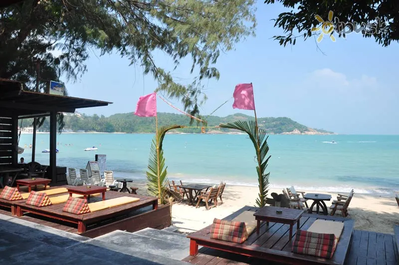 Фото отеля Samui Honey Cottages & Resort 3* о. Самуи Таиланд