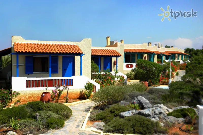Фото отеля Zorbas Beach Village Hotel 2* о. Крит – Ханья Греція номери