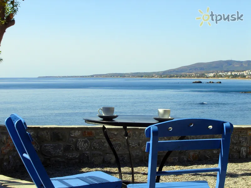 Фото отеля Paraktio Beach Apartments 3* о. Родос Греция бары и рестораны