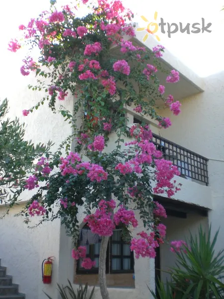 Фото отеля Sandy Beach Georgioupolis 2* о. Крит – Ханья Греція екстер'єр та басейни