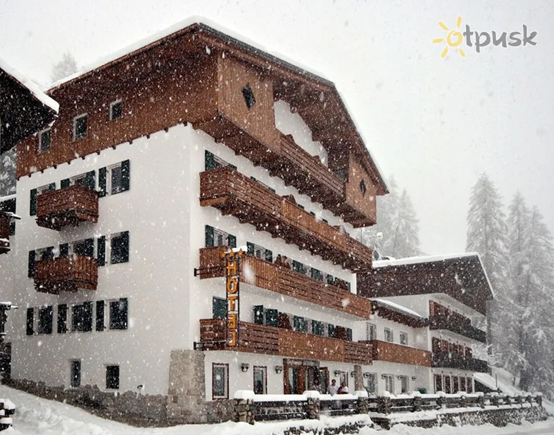 Фото отеля Des Alpes Hotel 3* Кортина д'Ампеццо Италия экстерьер и бассейны