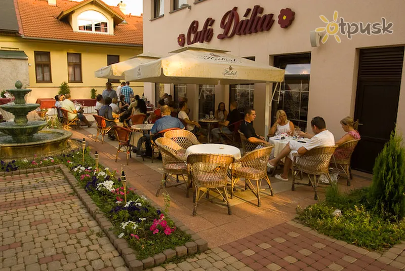 Фото отеля Dalia Eco Friendly Hotel 4* Кошице Словакия экстерьер и бассейны