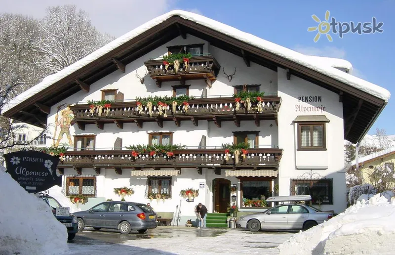 Фото отеля Alpenrose Pension 2* Цель ам Зее Австрия экстерьер и бассейны