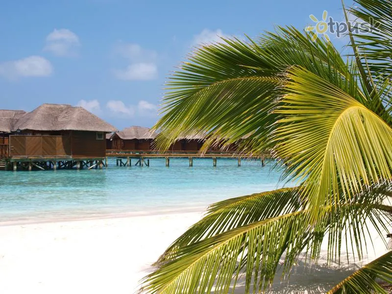 Фото отеля Dacha Maldives Guest House 2* Dienvidu Males atols Maldīvija pludmale