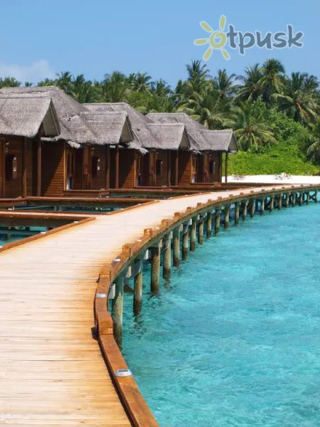 Фото отеля Dacha Maldives Guest House 2* Dienvidu Males atols Maldīvija ārpuse un baseini