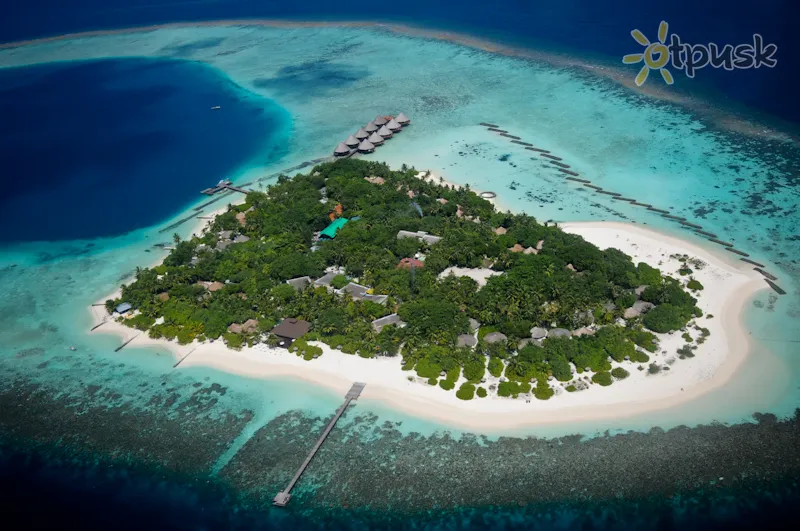 Фото отеля Velidhu Island Resort 4* Ari (Alifu) atols Maldīvija ārpuse un baseini