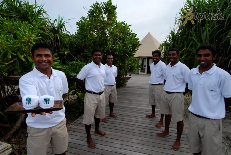 Фото отеля Maldives Madivaru 5* Ари (Алифу) Атолл Мальдивы прочее