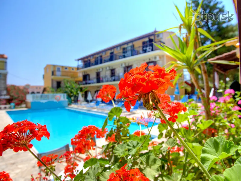 Фото отеля Elena's Studios 3* о. Закінф Греція екстер'єр та басейни