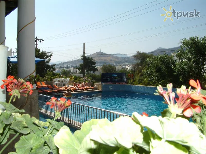 Фото отеля Eden Hotel Bodrum 2* Бодрум Турция экстерьер и бассейны