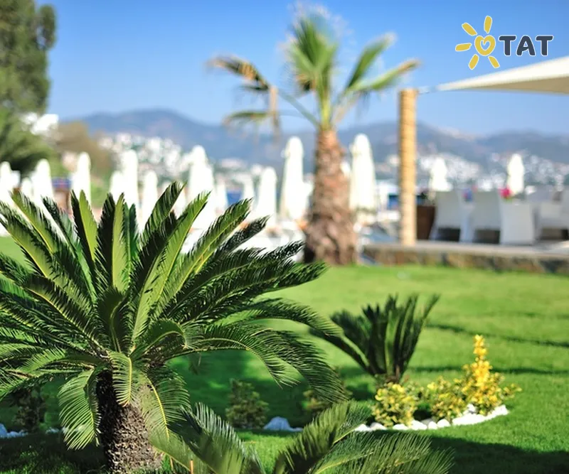 Фото отеля Avangarde Yalikavak Hotel 4* Бодрум Туреччина екстер'єр та басейни