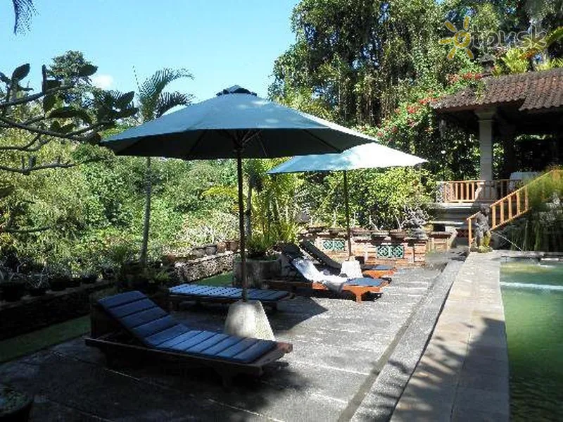 Фото отеля Ketut's Place 3* Убуд (о. Балі) Індонезія екстер'єр та басейни