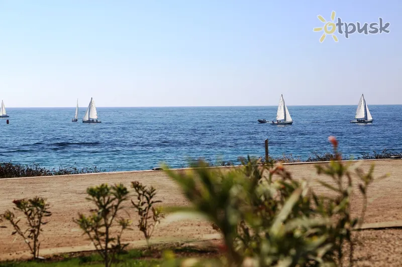 Фото отеля Amphora Beach Resort & Suites 4* Пафос Кипр пляж
