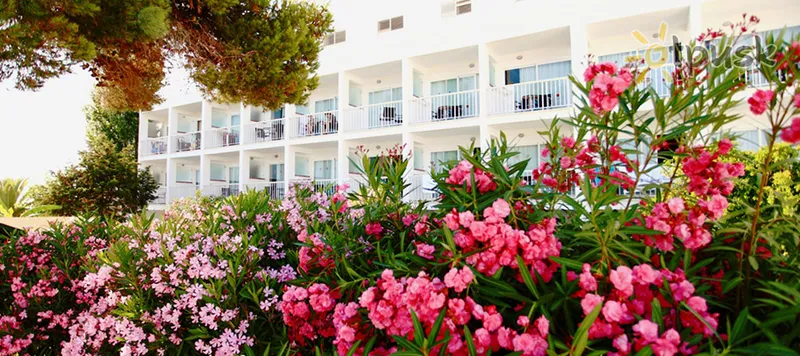 Фото отеля Sirenis Hotel Club Siesta 4* Ibiza Ispanija išorė ir baseinai