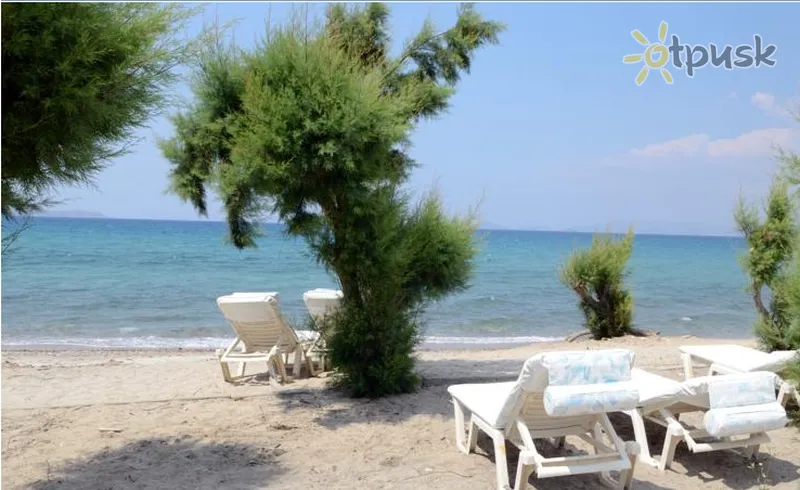 Фото отеля Byron Apartments 2* о. Кос Греция пляж
