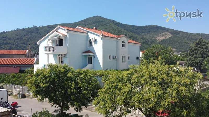 Фото отеля Zorica Villa 2* Будва Чорногорія екстер'єр та басейни
