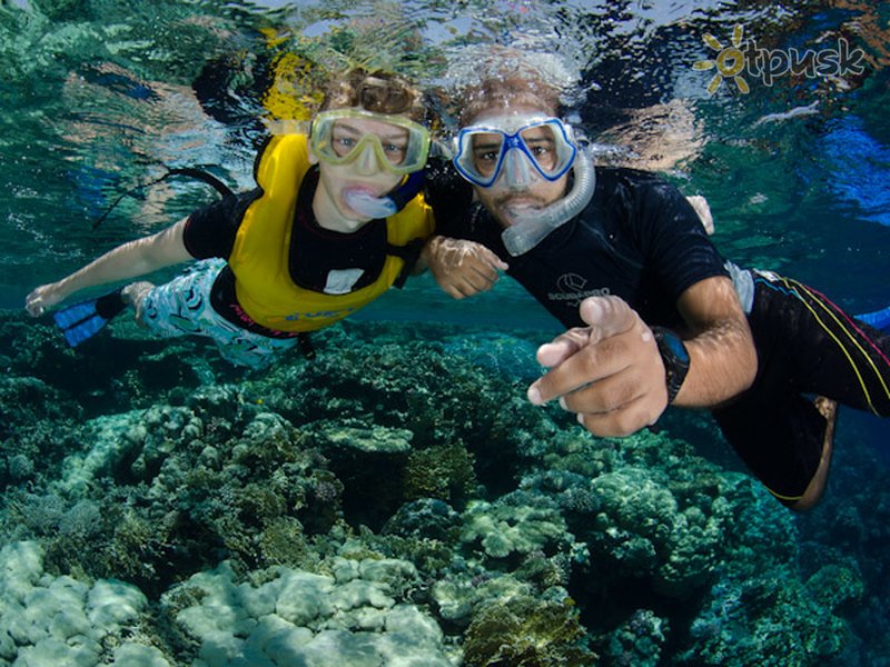 Фото отеля Camel Dive Club & Hotel 4* Шарм эль Шейх Египет прочее