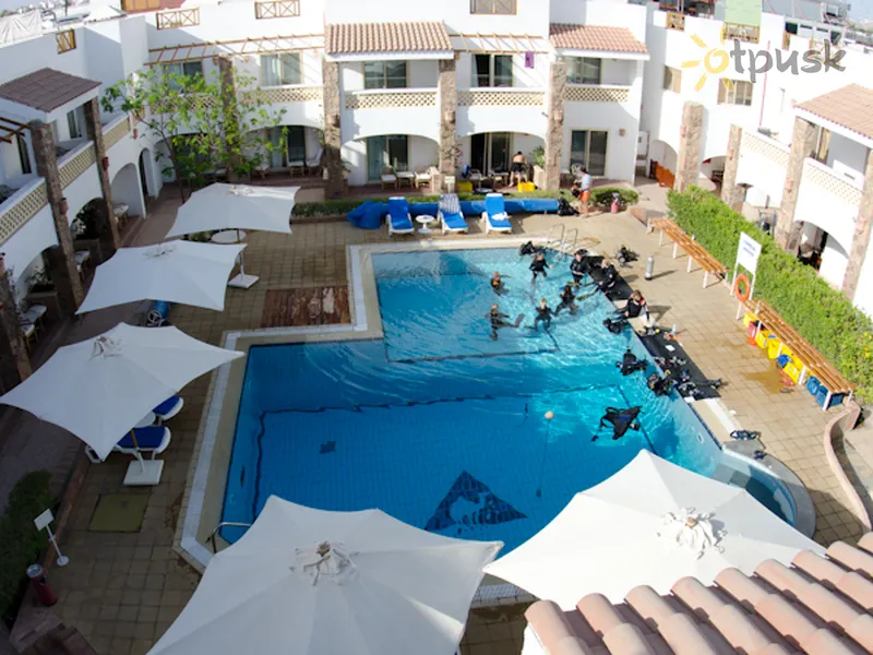 Фото отеля Camel Dive Club & Hotel 4* Šarm eš Šeiha Ēģipte ārpuse un baseini