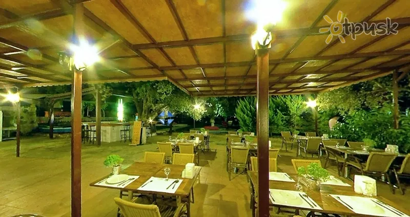 Фото отеля Club Alisya 3* Бодрум Турция бары и рестораны