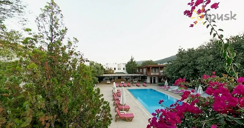 Фото отеля Club Alisya 3* Бодрум Туреччина екстер'єр та басейни