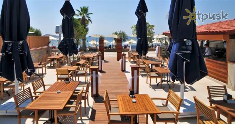 Фото отеля Dilek Agaci Boutique & Beach Hotel 3* Бодрум Турция бары и рестораны