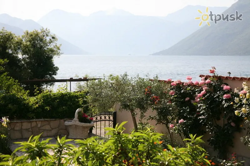 Фото отеля Apartment Ana 3* Kotor Melnkalne bāri un restorāni