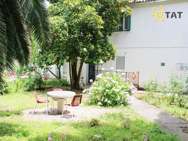 Фото отеля House Palma Villa 3* Будва Чорногорія бари та ресторани