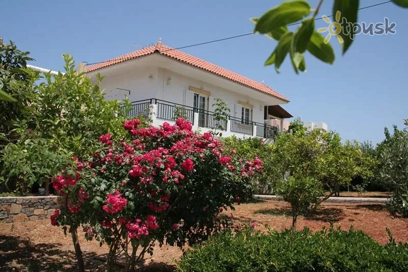 Фото отеля Medusa Villa 2* о. Крит – Ираклион Греция экстерьер и бассейны
