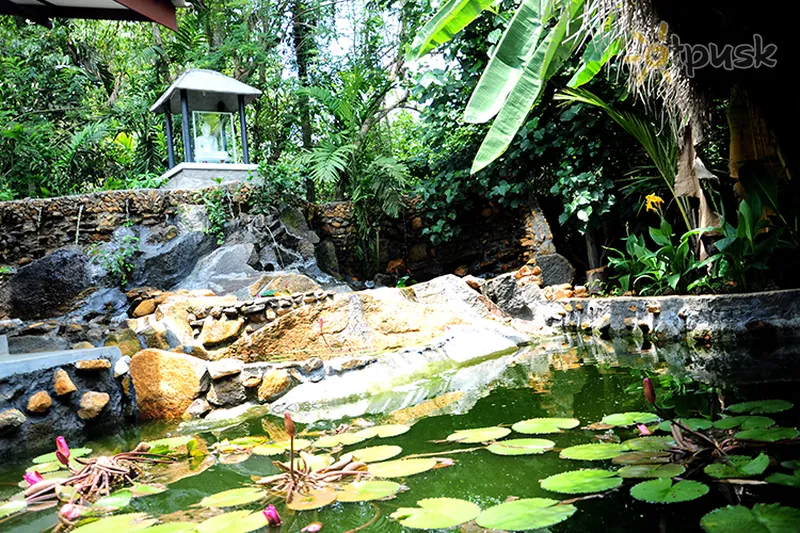 Фото отеля Garden Beach Hotel 3* Косгода Шрі Ланка екстер'єр та басейни