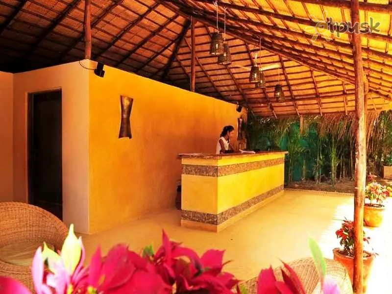 Фото отеля The Clematis Hotel 4* Šiaurės Goa Indija išorė ir baseinai