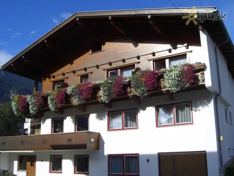 Фото отеля Geisler Haus 1* Hippach Austrija ārpuse un baseini