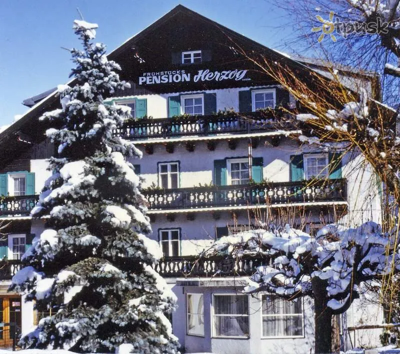 Фото отеля Herzog Pension 2* Цель ам Зее Австрия экстерьер и бассейны
