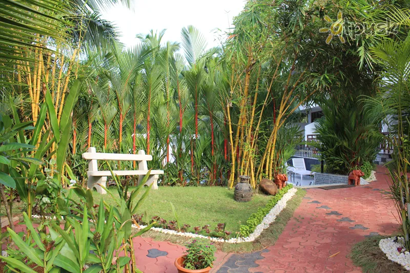 Фото отеля Chakra Ayurvedic Resort 3* Керала Індія екстер'єр та басейни